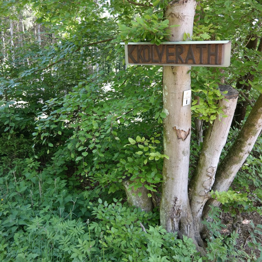 Blick über die Eifellandschaft